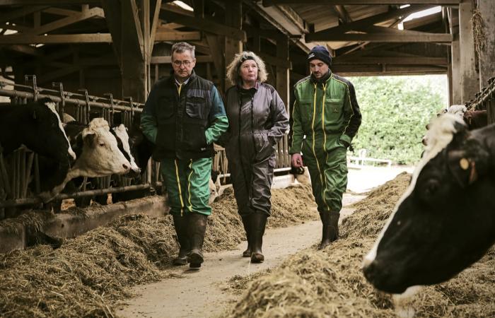 Témoignage d'une transmission d'exploitation