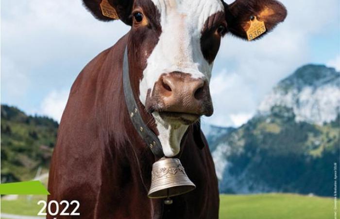 Retrouvez le réseau Safer au Salon International de l’Agriculture !