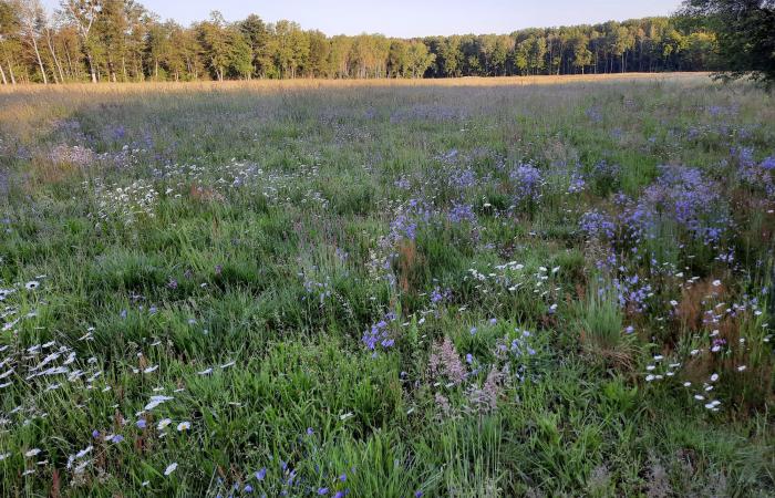 Préserver la biodiversité en Alsace