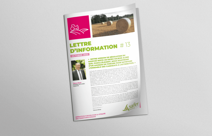 Découvrez notre lettre d'information n°13 ! 