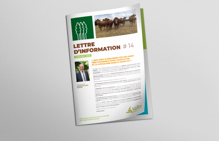 Découvrez notre dernière lettre d'information ! 