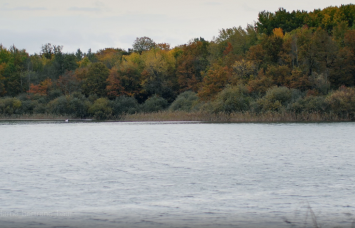 Opération au Lac du Der