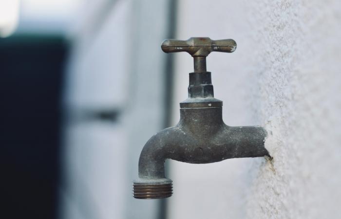 Qualité de l'eau : comment une collectivité travaille avec les agriculteurs pour réduire la pollution à la source ?