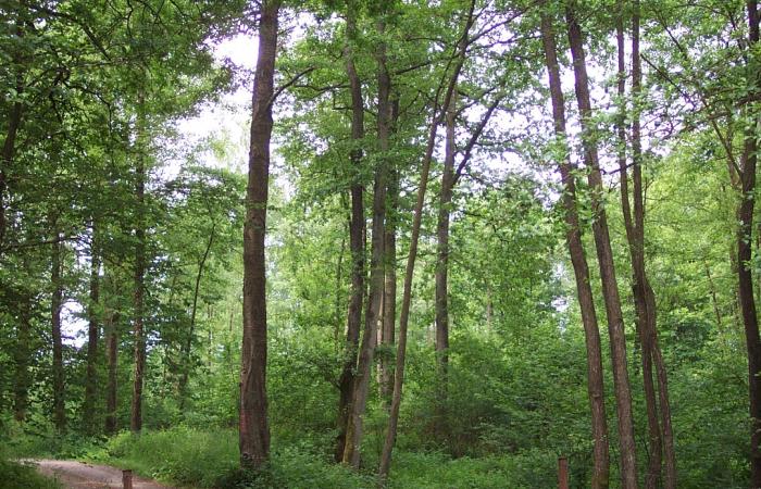 Identifier et incorporer les biens vacants et sans maître, une réelle opportunité pour les communes !