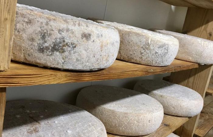 La ferme Haag : maitriser l'ensemble du foncier d'une exploitation pour le transmettre